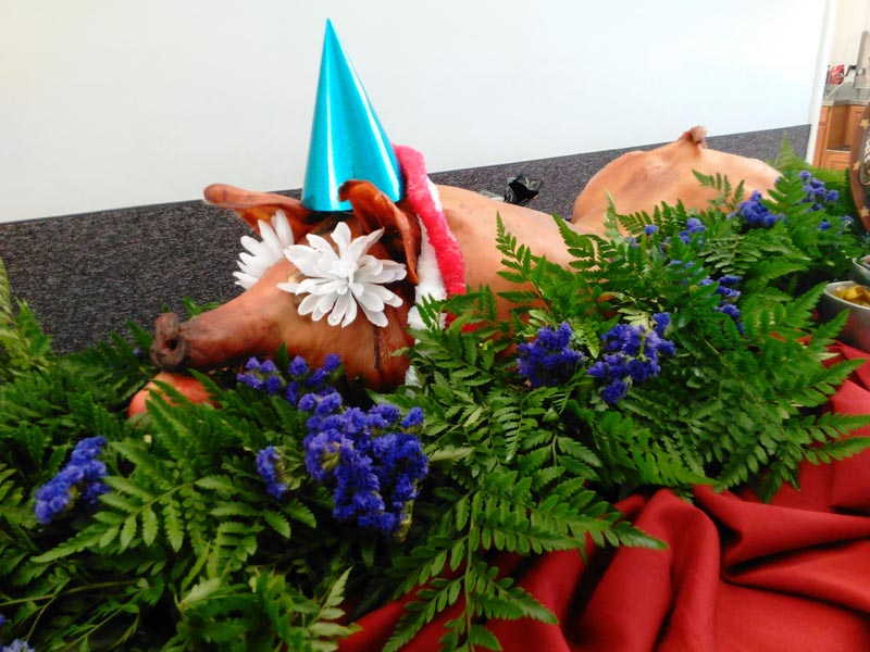 Pig Roast 1